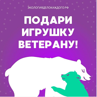 Камчатская дирекция присоединилась к акции «Игрушка ветерану»