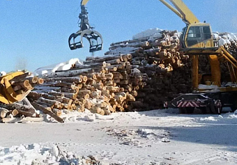 С ООО «Асиновский завод МДФ» взыскано 1,6 млн рублей по плате за НВОС