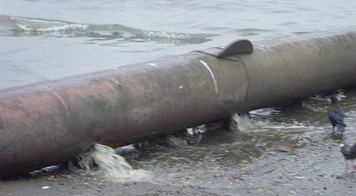 На Камчатке Росприроднадзор обязал МКП ВГО «Вилючинский водоканал» возместить ущерб, причиненный водному объекту