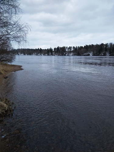 Росприроднадзор по СЗФО через суд требует от производителя бумаги возместить 686 млн рублей ущерба, причиненного реке Вуокса