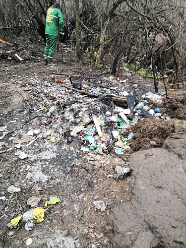 В Тамбовской области Центрально-Черноземное управление Росприроднадзора требует с физического лица более 3,8 млн руб. за причиненный ущерб почвам от несанкционированного складирования отходов