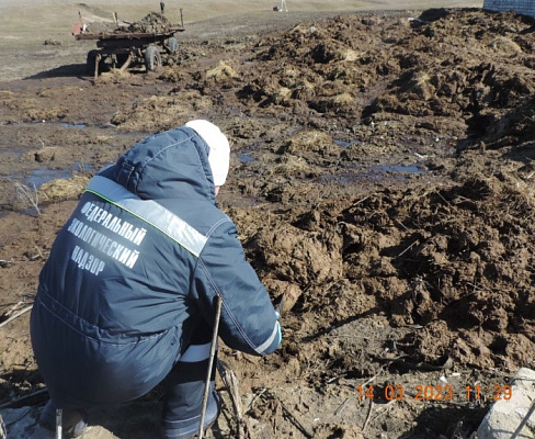 Росприроднадзор предъявил ущерб в размере более 27,2 млн руб. собственникам отходов КРС, допустившим загрязнение земельных участков в с. Масловка Воронежской области