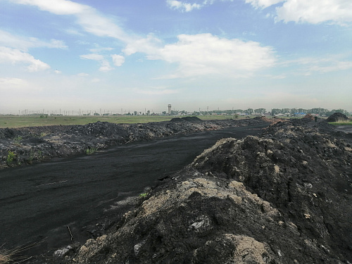 В Кузбассе по решению суда угольное предприятие заплатит более 24,4 млн рублей за вред почвам 
