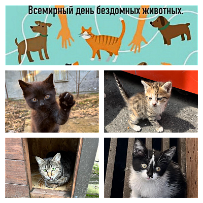 Милосердие в действии: Юрий Дзебоев и его подопечные