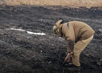 В Алтайском крае нанесен вред почвам на 15,3 млн рублей
