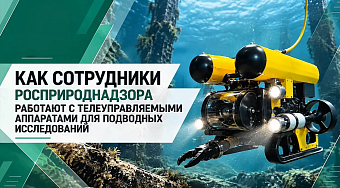 Что Росприроднадзор может увидеть под водой на глубине 300 метров?