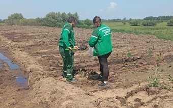 В Алтайском крае ущерб от загрязнения почвы отходами животноводства превысил 75 млн рублей