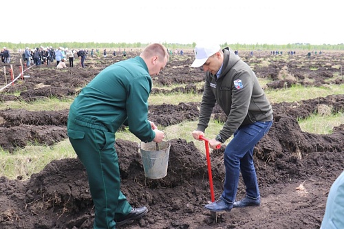 В Липецкой области сотрудники Управления Росприроднадзора приняли участие в Международной акции «Сад памяти».                                          