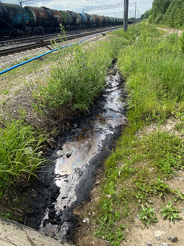 СЗМУ Росприроднадзора выявило в Киришах загрязнение почв отходами нефтепродуктов