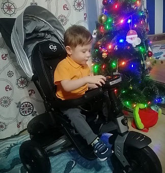 Руководитель Уральского Росприроднадзора исполнил желания мечтателей «Ёлки желаний»