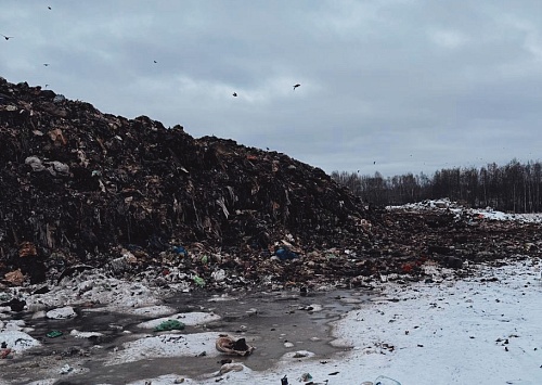  По материалам Росприроднадзора суд приостановил деятельность полигона ТБО в Кстовском районе Нижегородской области