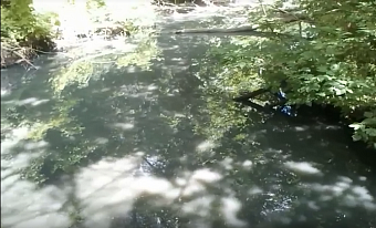 Суд подтвердил виновность ростовского ОАО «Исток» в нарушении природоохранного законодательства