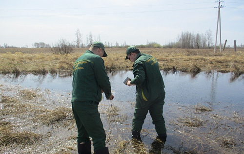 В Курганской области сотрудники Росприроднадзора проводят обследования объектов в рамках федерального проекта «Генеральная уборка»