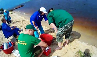 ООО «Биотехсервис» обязано прекратить загрязнение Волги