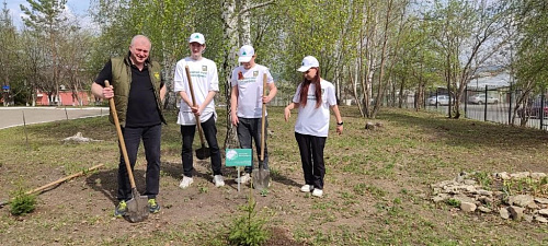 Сотрудники Росприроднадзора вместе с учениками красноуфимской школы посадили саженцы 