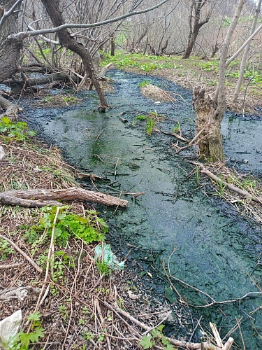 Росприроднадзором выявлен факт загрязнения почвы в городе Невельск Сахалинской области