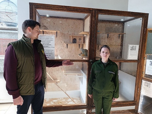 Уральский Росприроднадзор провел проверку ООО «Регион-сервис» 