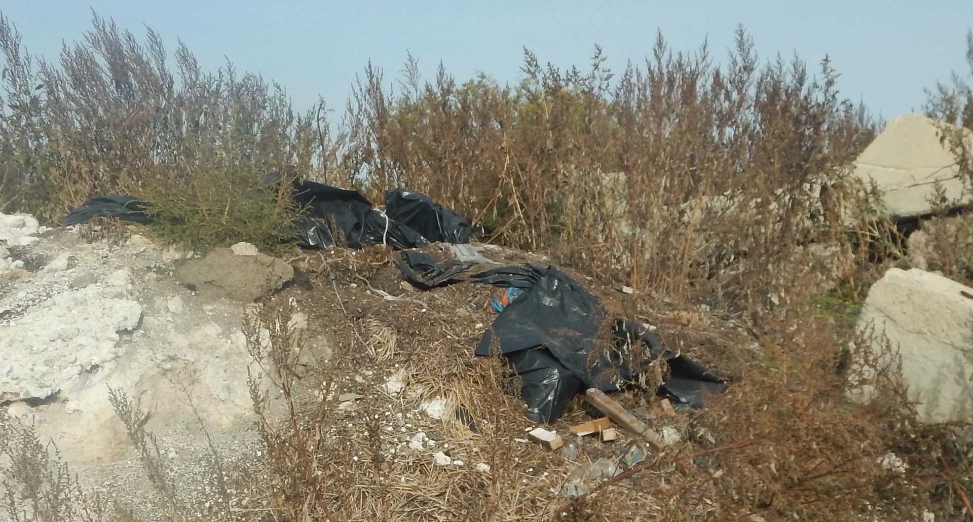 Росприроднадзор выявил нарушения природоохранного законодательства в ходе плановой проверки липецкого ООО «Петровский Агрокомплекс»