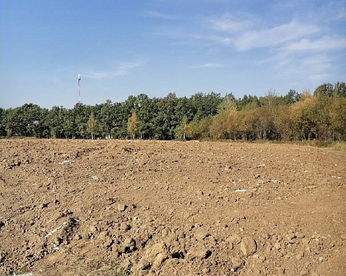 По результатам выездного обследования земельного участка в районе Дашково-Песочня в г. Рязань установлены нарушения