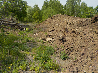 Росприроднадзор добивается взыскания 153 млн рублей за ущерб, причиненный почвам в Республике Марий Эл