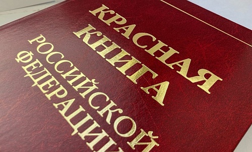 Росприроднадзор совместно с Нижнеобским территориальным управлением Росрыболовства провел патрулирование акватории р. Сосьва