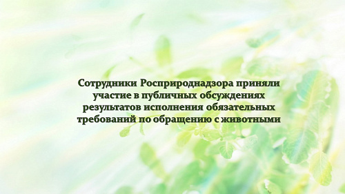 Сотрудники Росприроднадзора приняли участие в публичных обсуждениях результатов исполнения обязательных требований по обращению с животными