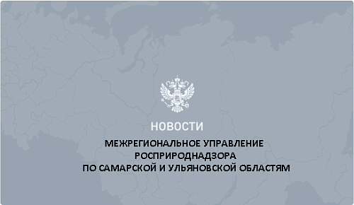 Суд оставил в силе постановление Росприроднадзора, оштрафовавшего ПАО «Тольяттиазот»
