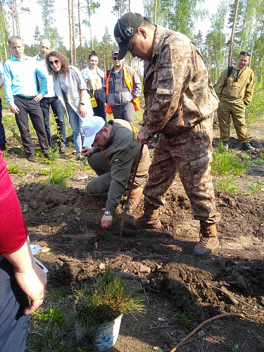 Инспекторы Росприроднадзора приняли участие в Международной акции «Сад памяти»