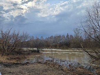 Инспекторы Росприроднадзора провели выездные обследования территорий, подверженных риску подтопления в Новокузнецком муниципальном округе