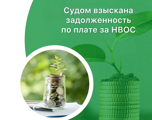 По иску Росприроднадзора суд обязал взыскать с АО «Колымская судоходная компания» плату за негативное воздействие на окружающую среду