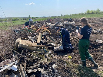 Вред почвам от незаконной свалки в Воронежской области превысил 16 млн рублей