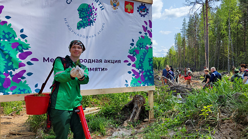 Сотрудники ЦЛАТИ по Республике Коми приняли участие в ежегодной акции «Сад Памяти»