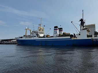 Росприроднадзор требует возместить 900 тыс. рублей вреда, причиненного Финскому заливу