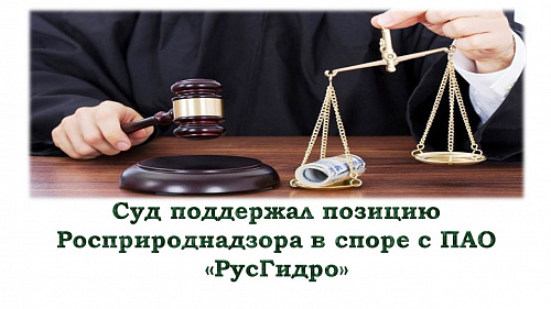 Суд поддержал позицию Росприроднадзора в споре с ПАО «РусГидро»