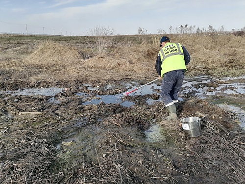 Центрально-Черноземное межрегиональное управление Росприроднадзора требует с ООО «Овощи Черноземья» более 4,6 млн руб. за вред, причиненный почвам 