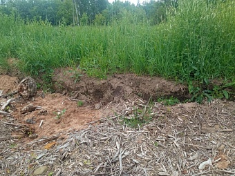 В Кировской области выявлен факт снятия плодородного слоя почвы