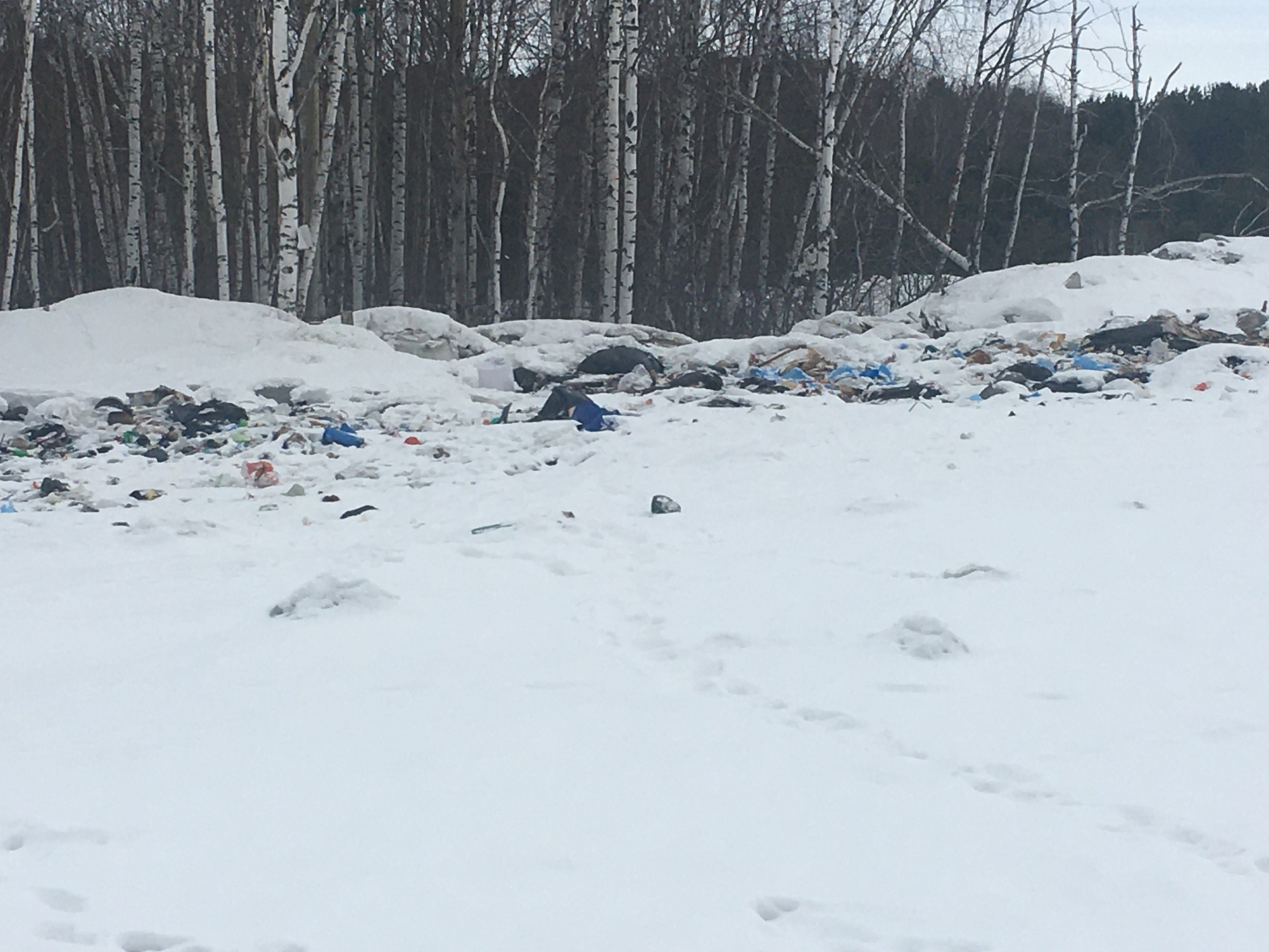 Росприроднадзор привлек к административной ответственности ООО «Возрождение» за нарушения при эксплуатации полигона ТКО