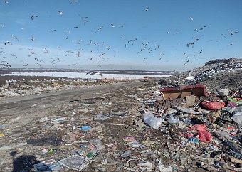 ЦЛАТИ по ЦФО исследует более 20 свалок в рамках проекта «Генеральная уборка»