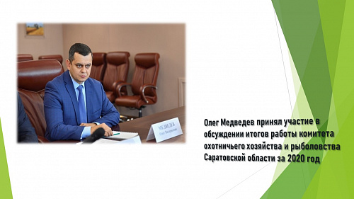 Олег Медведев принял участие в обсуждении итогов работы комитета охотничьего хозяйства и рыболовства Саратовской области за 2020 год 