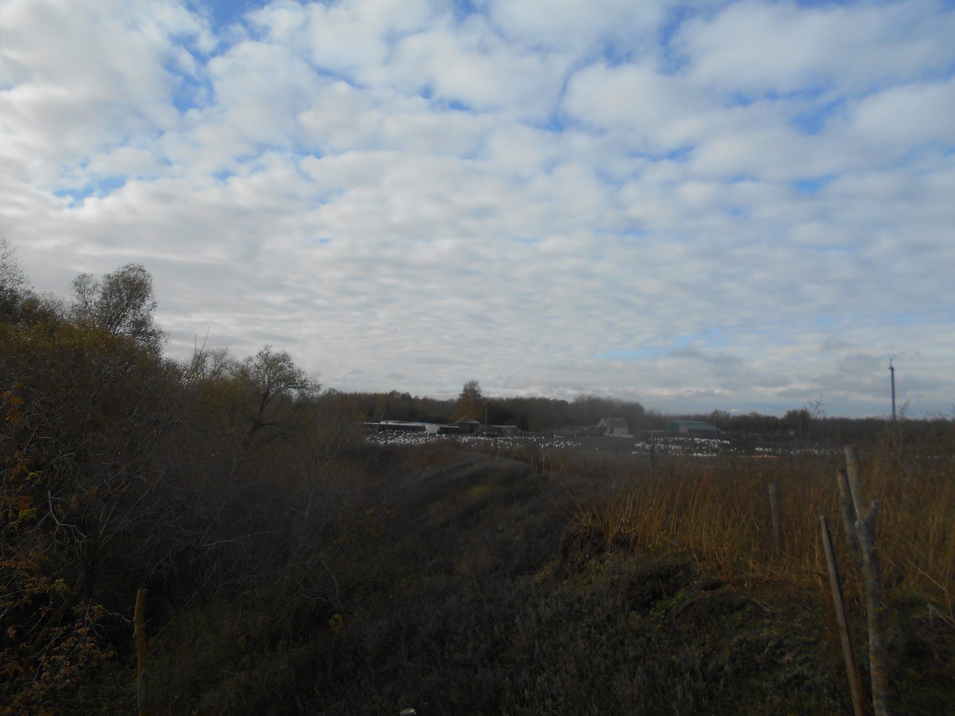 В Тамбовской области установлены нарушения в водоохранной зоне р. Битюг