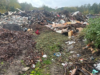 ООО НПП «Ареал» обязано выплатить задолженность по плате за НВОС в размере 297,8 млн рублей