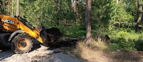 «Суд удовлетворил иск Росприроднадзора о возмещении вреда почве в Чемальско районе Республики Алтай»