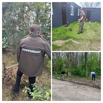 Сотрудники Черноморо-Азовского морского управления Росприроднадзора присоединились к Всероссийскому субботнику