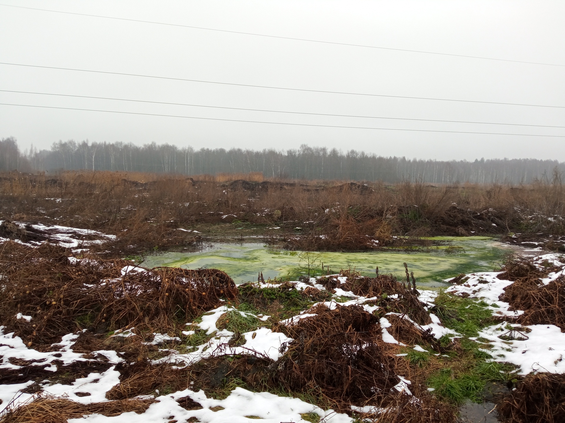 ПОВО «Владзернопродукт» не исполнило предписания Росприроднадзора