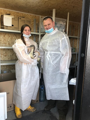 Руководитель Северо-Кавказского межрегионального управления Росприроднадзора Эрик Алдатов совместно с сотрудниками Управления посетили центр реабилитации «Пеликан»