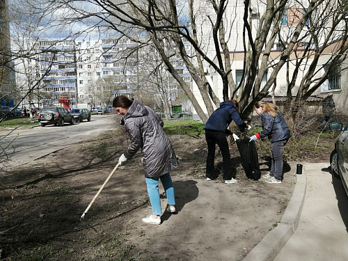 В Пскове и Великом Новгороде сотрудники СЗМУ Росприроднадзора благоустроили территорию, примыкающую к служебным зданиям