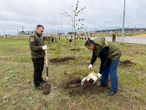 Сотрудники Управления Росприроднадзора по Республике Саха (Якутия) приняли участие в международной акции «Сад памяти»
