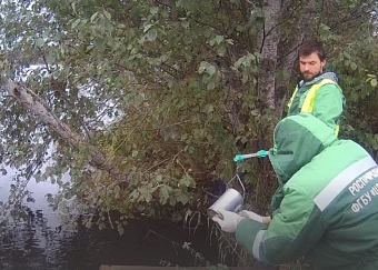 «Леноблводоканал» обязано возместить ущерб за загрязнение реки Оять