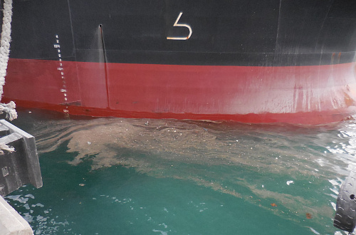 По результатам судебных разбирательств, продлившихся более двух лет, ООО «НЗТ» возместило ущерб, причиненный Черному морю