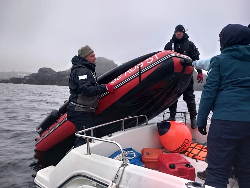 Горбатый кит, запутавшийся в сетях в Баренцевом море освобожден